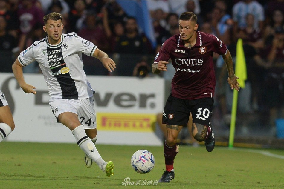 发表了颇具 发表了颇具